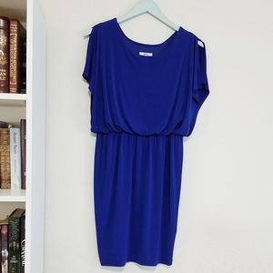 Cobalt Blue Dress